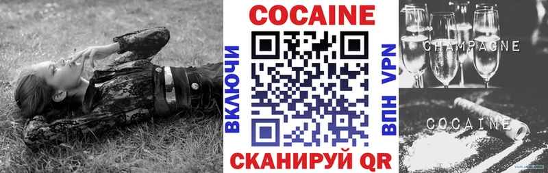 где продают   Торопец  Кокаин FishScale 